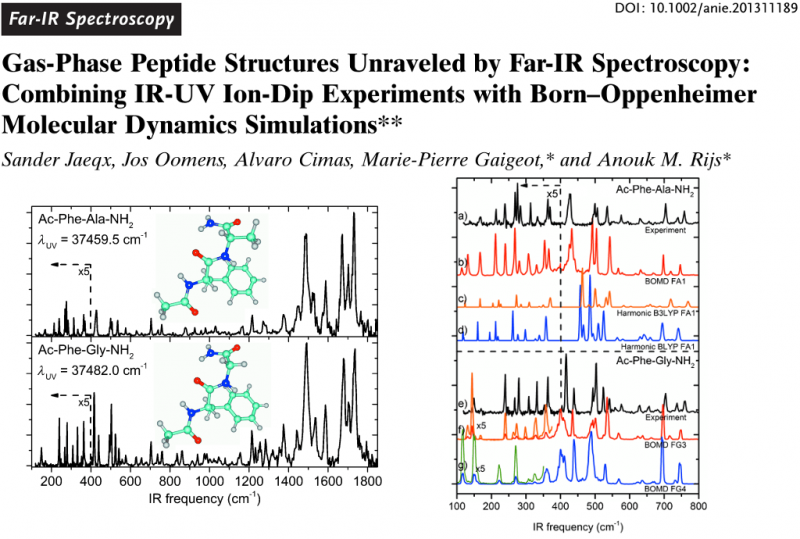  Gas-Phase Peptide Structures Unraveled by Far-IR Spectroscopy: Combining IR-UV Ion-Dip Experiments with Born–Oppenheimer Molecular Dynamics Simulations
