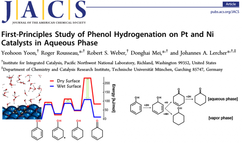  First-Principles Study of Phenol Hydrogenation on Pt and Ni Catalysts in Aqueous Phase