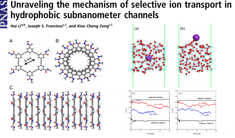  Unraveling the mechanism
of selective ion transport in hydrophobic subnanometer channels 